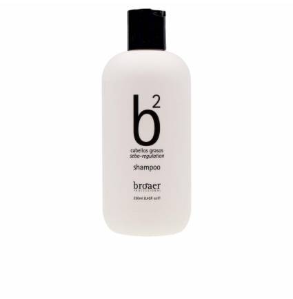 B2 CABELLOS GRASOS shampoo 250 ml